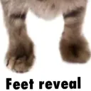 feet reveal