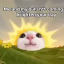 Brightening up your day
