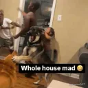 whole house mad