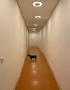 Liminal wiener