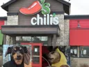 the girl i went to chilis with