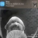 111