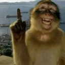 Lawl