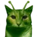 alient cat