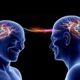 Connected. Connected.