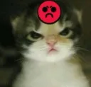 grrr .gg/catbois