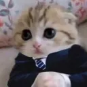 idk