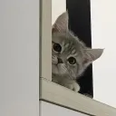 hey