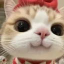 catblush