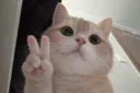 peace