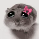 mal hamster