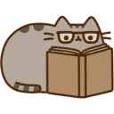 Pusheen Book