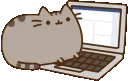 PusheenComputer