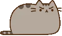 PusheenAngry