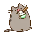 PusheenEatingRice