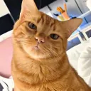Huh? 