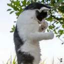 Imma fight you 