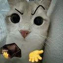 don’t ask me for nuffin