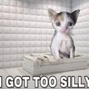 silly .gg/mental
