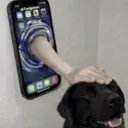 head pat .gg/mental