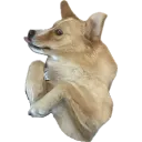 Aleka