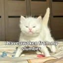 Awoken From My Slumber