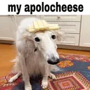 my apolocheese /sniped