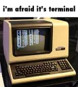 Terminal