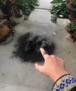blast