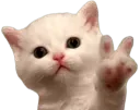 Whats up