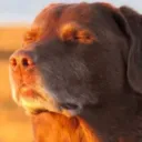 FEELCOOKED