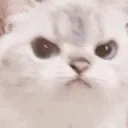 Angry