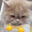 CATPLS