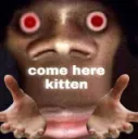 COMEHEREKITTEN