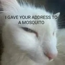 Hehehe