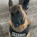 Randy snitch