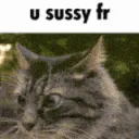 u sussy fr