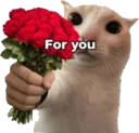 Foru