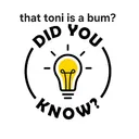 Bum