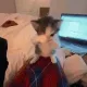 scuba /meowy