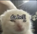 da helll