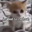 Crash out