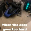 Dilly is a menace 