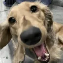 HERROOOOO