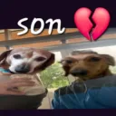 Son 💔💔💔💔