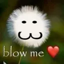 blow me 