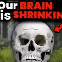 Our brain is shrinking