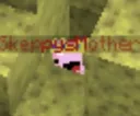 peekaboo