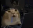 obessed