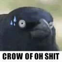 /,crow shit